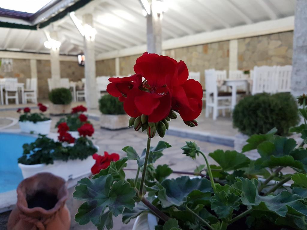Hotel Fantasy Lyubimets Εξωτερικό φωτογραφία